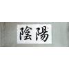Yin Yang Symbols Feng Shui Calligraphy Scroll Painting